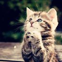 ���� ���������, ������ - ��������� 26 ������ 2016 � ������ ���� ����������