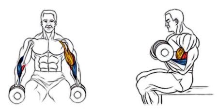     .:   ,    ,  ... - 2