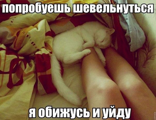    - 5  2015  16:15
