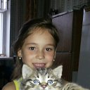  , , 40  -  18  2015      (2015)