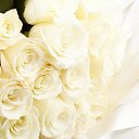 ���� ������, �����-��������� - ��������� 5 ������� 2016 � ������ ���� ����������