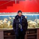 ���� �������, �����������, 42 ���� - ��������� 3 ������� 2016 � ������ ���� ����������