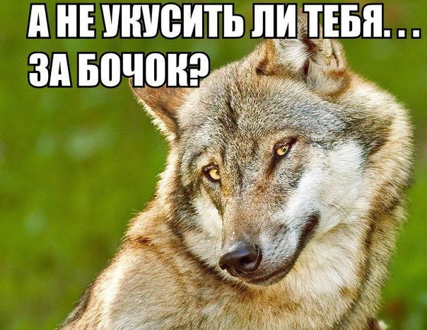    https://fotostrana.ru/away?to=/sl/QSO2 baby, rock-a-byeOn the edge you mustn't lieOr the little ...