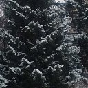 ���� ������, �����������, 64 ���� - ��������� 4 ������ 2015 � ������ ������ ��������