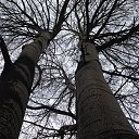���� �������, ������� - ��������� 29 ������� 2016 � ������ �iOS Photos�