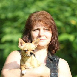 ���� ����, ������, 51 ��� - ��������� 23 ������ 2015