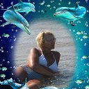 ���� 2015 �� ������� ���� ����������