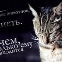 ���� ���������, ������, 44 ���� - ��������� 10 ������� 2015 � ������ ��������������