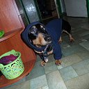���� ����, ��������� - ��������� 28 ������� 2015 � ������ ������ ��������