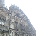 ���� �������, ������, 36 ��� - ��������� 18 ������ 2015 � ������ �germany�