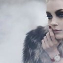 ���� ��������, ����������� - ��������� 24 ������� 2015 � ������ ���� ����������