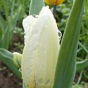 ���� ������, ��������, 55 ��� - ��������� 28 �������� 2015 � ������ ���� ����������