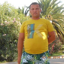 ������, 46 ���, ������