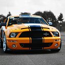  Corporation©, , 35  -  30  2015   Ford, mustang, shelby GT500kr
