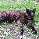 ���� ����� ��������, �������, 70 ��� - ��������� 19 ������ 2015 � ������ ���� ����������