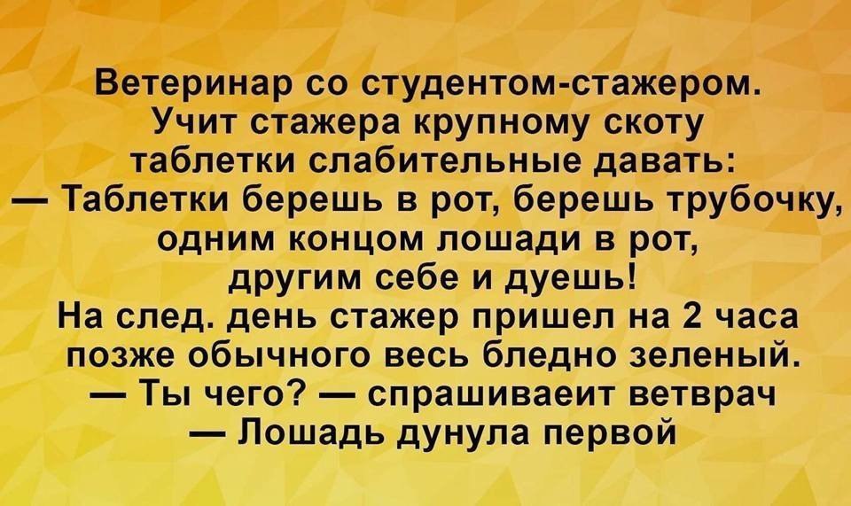 Цитаты про то что поздно. Фродо мемы. Мам можно я завтра. Раннее окончание = позднее окончание - резерв времени по работе. Все нужно делать вовремя.