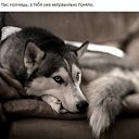 ���� �leks, ����� - ��������� 28 ������ 2016 � ������ ������ ��������