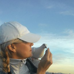 �����, ����������, 43 ����