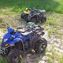 ���� ������, ����������-���������, 44 ���� - ��������� 31 ������� 2015 � ������ ����������
