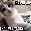 ���� ������, �����, 42 ���� - ��������� 24 ������� 2016 � ������ ������ ��������