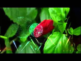 1+1... ����������� �����... ����� ���� � ������� �������...