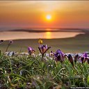 ���� Svetlana, ������ - ��������� 29 ������� 2016 � ������ ���� ����������