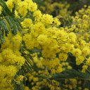 ���� ������, ������, 45 ��� - ��������� 6 ����� 2016