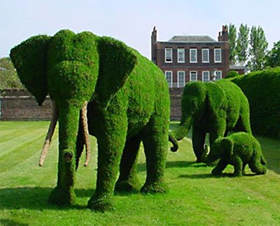  (topiary).    (topiary)     ... - 4