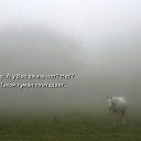 ���� ���������, ������, 53 ���� - ��������� 10 ������� 2016 � ������ ���� ����������