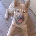 ���� �����������, ������������, 57 ��� - ��������� 16 ������ 2015 � ������ ���� ����������