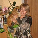 ���� �����, ��� - ��������� 1 ������� 2015 � ������ ���� ����������