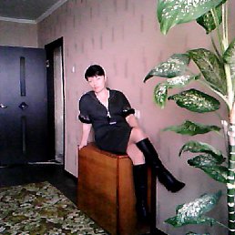 ���� �������, �������� - ��������� 22 ������ 2016