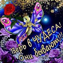 ���� ����� �����������, �����, 47 ��� - ��������� 4 ������ 2015 � ������ ������ ��������