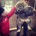 ���� �����, ����, 50 ��� - ��������� 25 ������� 2016 � ������ ���� ����������