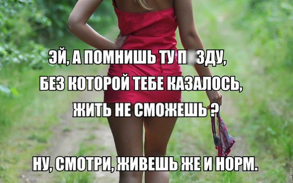  - 3  2015  20:04