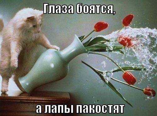    :-) - 27  2015  19:40