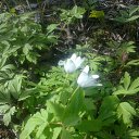 ���� ������, ������� ����� - ��������� 20 ������ 2016 � ������ ���� ����������