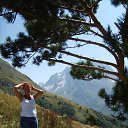 ���� �����, ������������ - ��������� 29 ������� 2016 � ������ ���� ����������