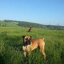 ���� Mmm, ��������������, 59 ��� - ��������� 28 ������� 2015 � ������ ���� ����������