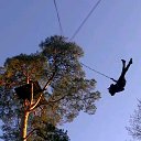 ���� ����, �����-���������, 36 ��� - ��������� 1 ������� 2015 � ������ ���� ����������