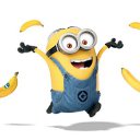 ���� ������, ������ - ��������� 27 ������� 2015 � ������ ���� ����������