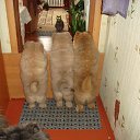 ���� �����, ������ - ��������� 1 ����� 2016 � ������ ���� ����������