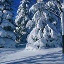 ���� �������, ����������� - ��������� 24 ������� 2015 � ������ ���� ����������