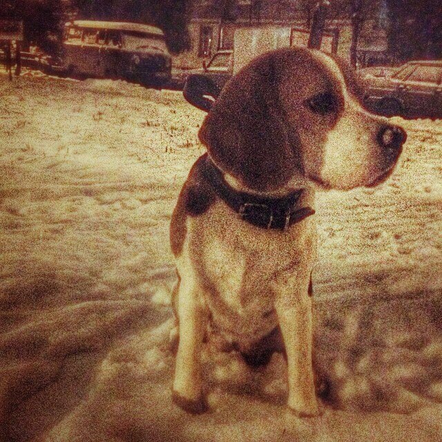  !   .  ,    ., . .  ... - 2