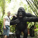 ���� ��� ���������, ������, 40 ��� - ��������� 15 ������ 2016 � ������ ���� ����������