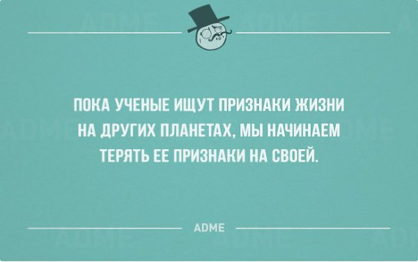 ������� - 23 ������� 2015 � 22:07