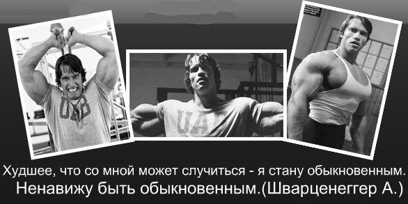 Сохранить энтузиазм и мотивацию для занятий спортом – не самая простая вещь. Именно поэтому ...
