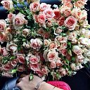 ���� �����, �������� - ��������� 14 ������� 2016 � ������ ���� ����������