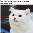 ���� �����, ��������, 27 ��� - ��������� 2 ������ 2015 � ������ ���� ����������