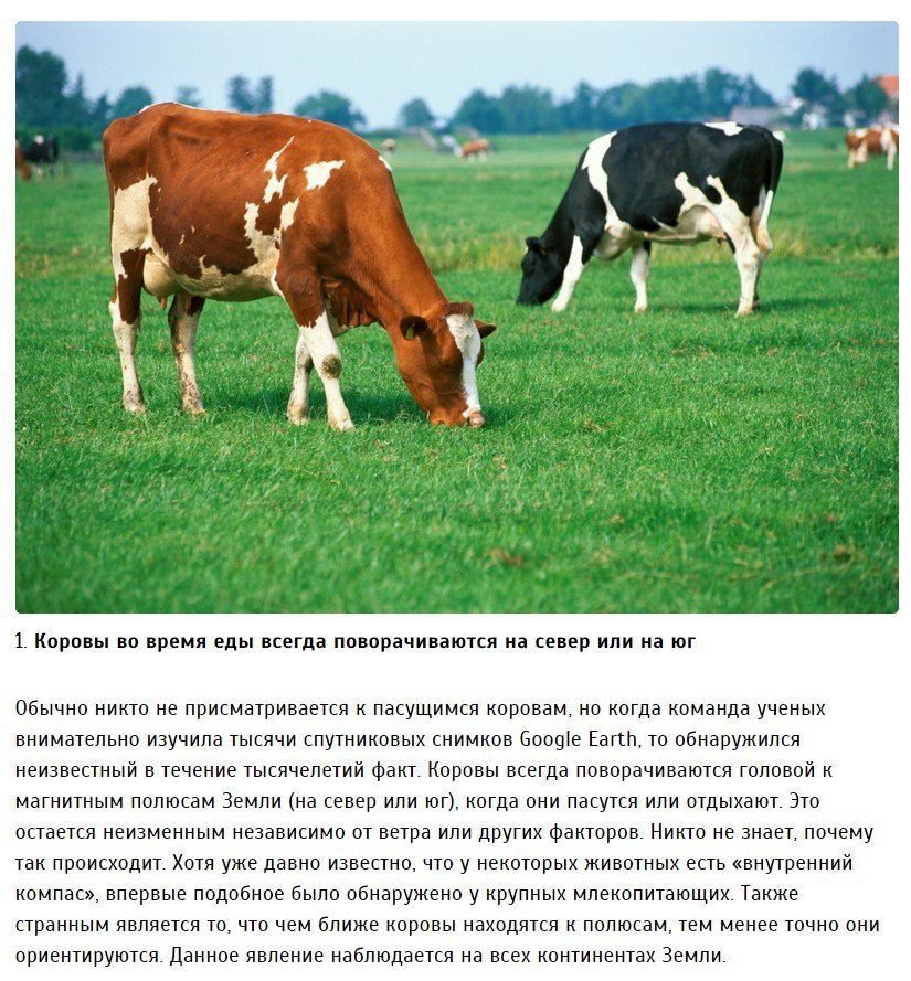 10   ,        .(Fact)  ...